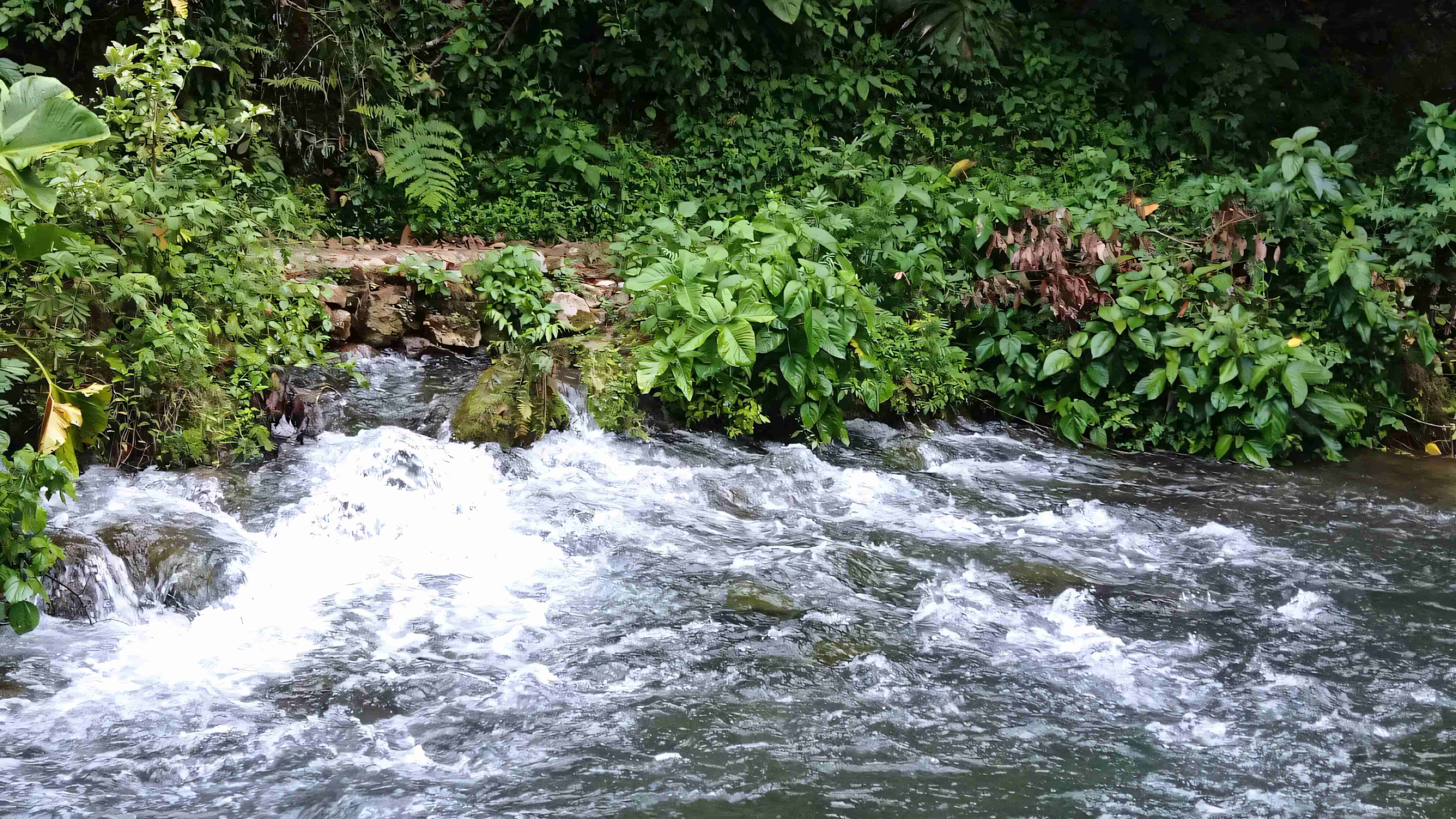 Imagen de Naciente del Río Negro